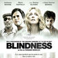 Poster 29 Blindness