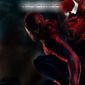 Poster 44 The Amazing Spider-Man