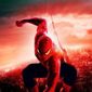 Poster 43 The Amazing Spider-Man