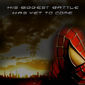 Poster 30 The Amazing Spider-Man