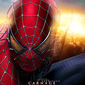 Poster 29 The Amazing Spider-Man