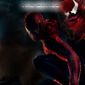 Poster 48 The Amazing Spider-Man