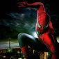 Poster 45 The Amazing Spider-Man