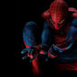 Poster 5 The Amazing Spider-Man