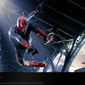 Poster 19 The Amazing Spider-Man
