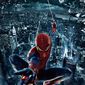 Poster 15 The Amazing Spider-Man