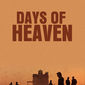 Poster 3 Days of Heaven