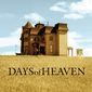 Poster 8 Days of Heaven