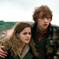 Foto 20 Harry Potter and the Deathly Hallows: Part I