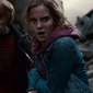 Foto 134 Harry Potter and the Deathly Hallows: Part I