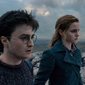 Harry Potter and the Deathly Hallows: Part I/Harry Potter și talismanele morții: Partea I