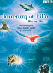 Poster Journey of Life