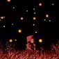 Hotaru no haka/Grave of the Fireflies