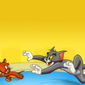 Foto 10 Tom and Jerry
