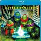 Poster 6 Teenage Mutant Ninja Turtles II: The Secret of the Ooze