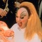 Pink Flamingos/Flamingo Roz