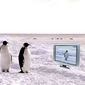 Foto 2 Farce of the Penguins