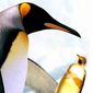 Foto 5 Farce of the Penguins