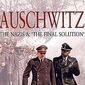 Poster 1 Auschwitz: The Nazis and the 'Final Solution