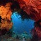 Foto 27 Coral Reef Adventure