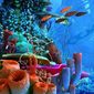 Foto 24 Coral Reef Adventure