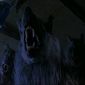 Dog Soldiers/Dog Soldiers