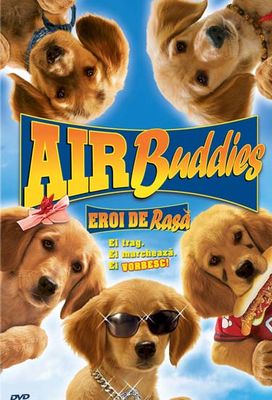 Air Buddies poster