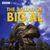 The Ballad of Big Al