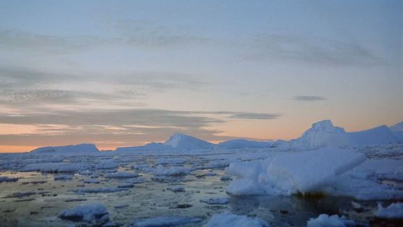 Antarctica