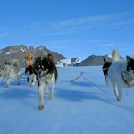 Imagine din galeria filmului Antarctica