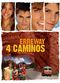 Film Erreway: 4 caminos
