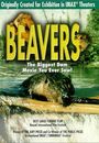 Film - Beavers