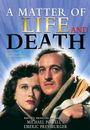 Film - A Matter of Life and Death
