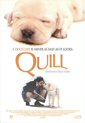 Quill poster