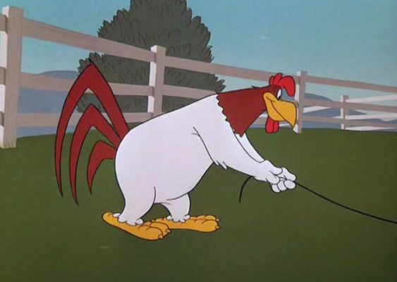 A Broken Leghorn