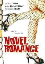 Poster Novel Romance