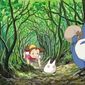 Foto 13 Tonari no Totoro