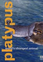Platypus: World's Strangest Animal