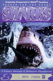 Poster Search for the Great Sharks