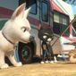 Foto 29 Bolt