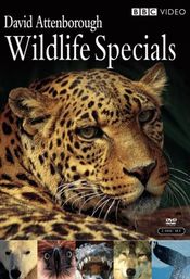 Poster Wildlife Specials