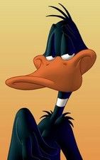 Poster Daffy Duck Hunt