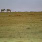 Foto 3 Africa: The Serengeti