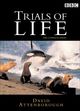 Film - The Trials of Life