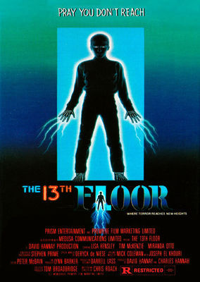 The 13th Floor poster