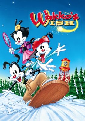 Wakko's Wish poster