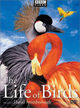 Film - The Life of Birds