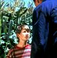Children of the Corn V: Fields of Terror/Children of the Corn V: Fields of Terror