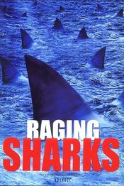 Poster Raging Sharks