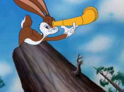 Tortoise Wins by a Hare
